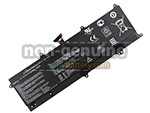Battery for Asus C21-X202